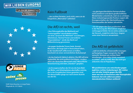 piratenpartei-gruene-jugend-afd